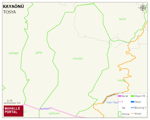 KAYAÖNÜ Köyü Haritası | Coğrafi Yapı ve Detaylı Haritası