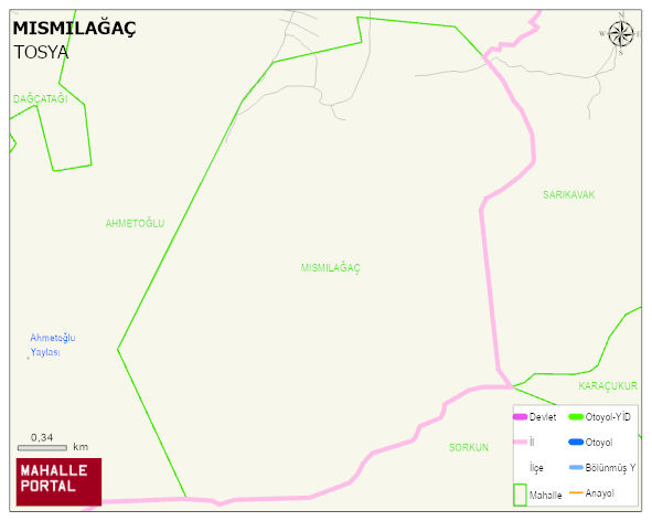 MISMILAĞAÇ Köyü Haritası | Dağlar, Ovalar ve Akarsu Bilgileri